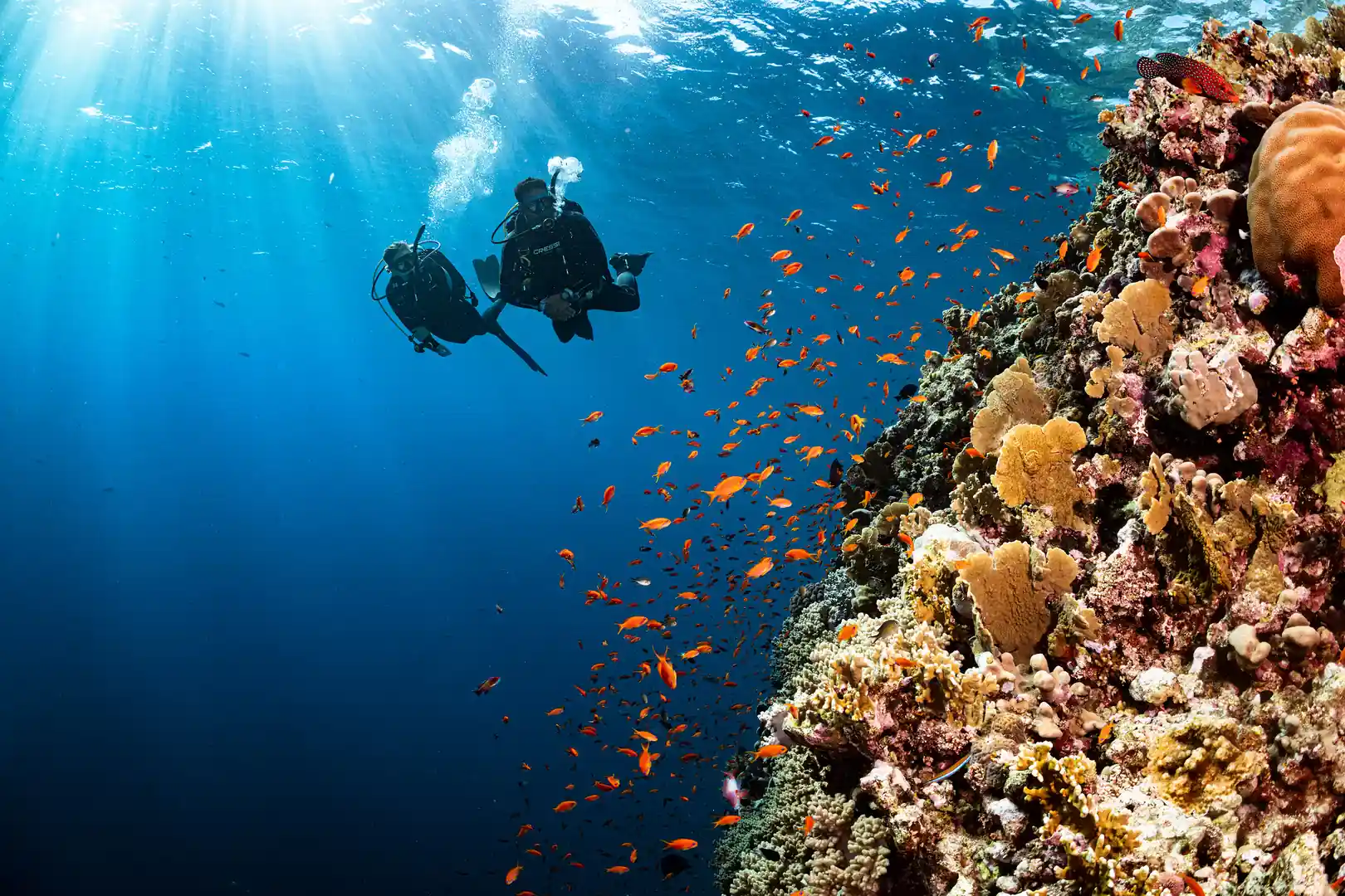 Buceo en Colombia